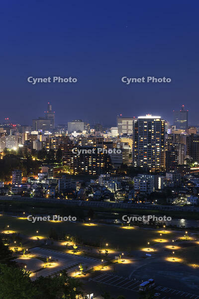 青葉山公園から望む仙台市街夜景 [NHI110043473]