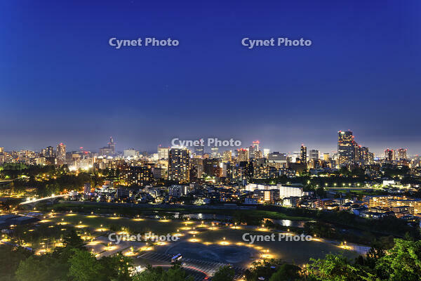 青葉山公園から望む仙台市街夜景 [NHI110043475]