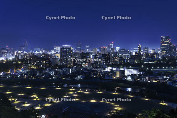 青葉山公園から望む仙台市街夜景 [NHI110043476]