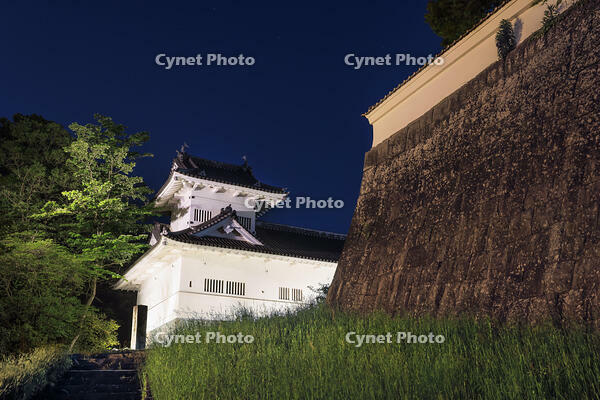 仙台城の大手門脇櫓夜景 [NHI110043487]