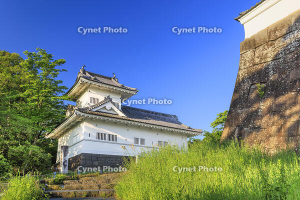 朝日に照らされた仙台城の大手門脇櫓 [NHI110043491]