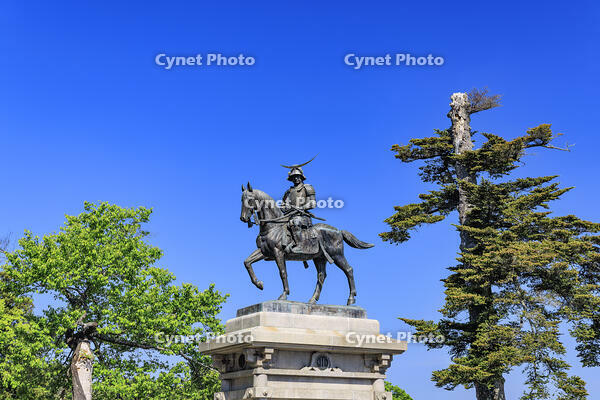 青葉山公園の伊達政宗公騎馬像 [NHI110043504]