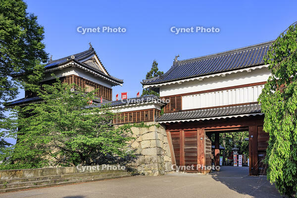 上田城の東虎口櫓門 [NHI110043533]