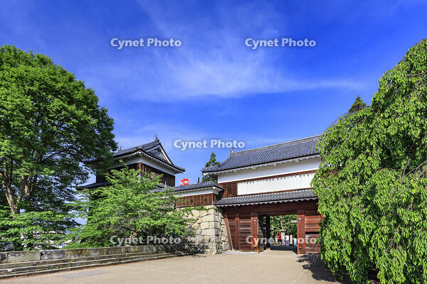 上田城の東虎口櫓門 [NHI110043535]