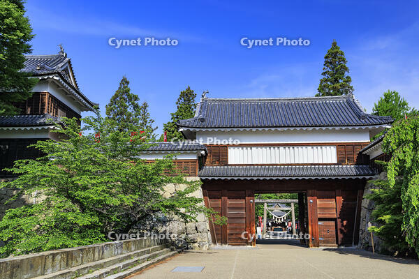 上田城の東虎口櫓門 [NHI110043537]