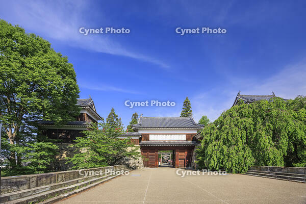 上田城の東虎口櫓門 [NHI110043539]