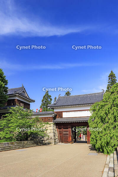 上田城の東虎口櫓門 [NHI110043540]