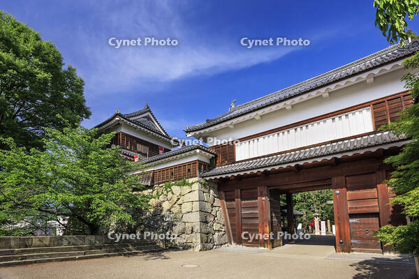 上田城の東虎口櫓門 [NHI110043541]