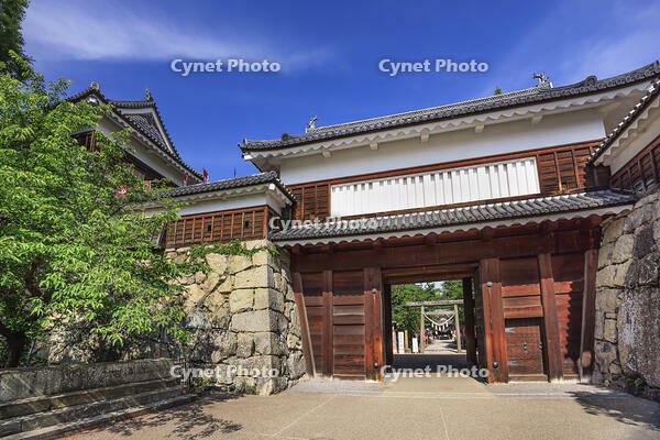 上田城の東虎口櫓門 [NHI110043542]