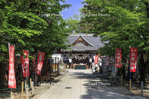上田城の真田神社 [NHI110043546]