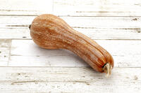 ツルクヒ?カホ?チャ [XJC110009191]