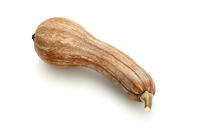 ツルクヒ?カホ?チャ [XJC110009192]