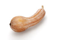 ツルクヒ?カホ?チャ [XJC110009195]