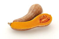 ツルクヒ?カホ?チャ [XJC110009199]