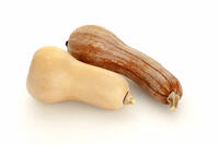 ツルクヒ?カホ?チャ＆バターナッツ・スクワッシュ [XJC110009204]