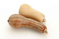 ツルクヒ?カホ?チャ＆バターナッツ・スクワッシュ [XJC110009205]