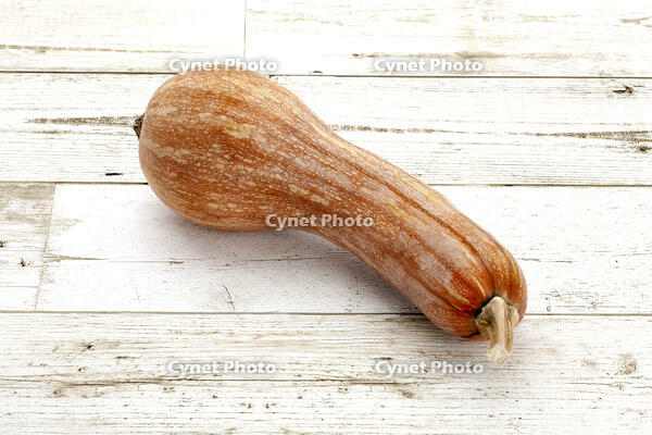 ツルクヒ?カホ?チャ [XJC110009191]