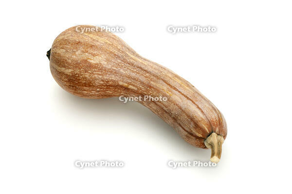 ツルクヒ?カホ?チャ [XJC110009192]