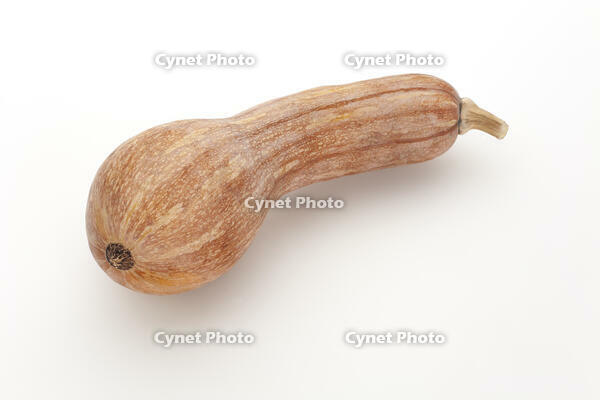 ツルクヒ?カホ?チャ [XJC110009193]