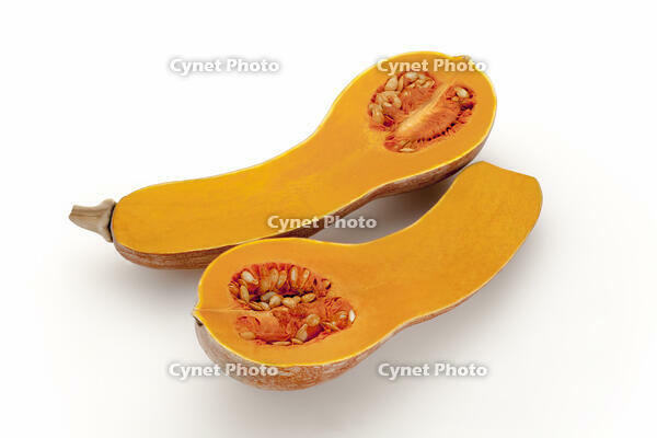 ツルクヒ?カホ?チャ [XJC110009198]