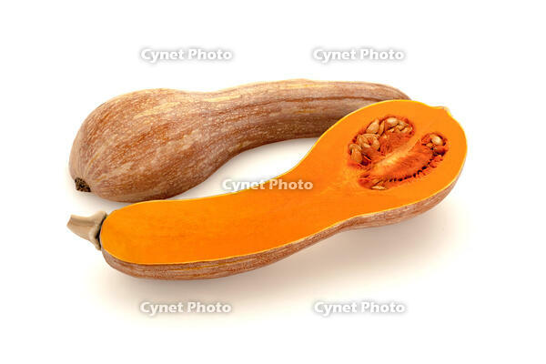 ツルクヒ?カホ?チャ [XJC110009200]