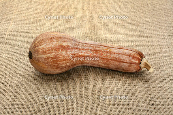 ツルクヒ?カホ?チャ [XJC110009201]