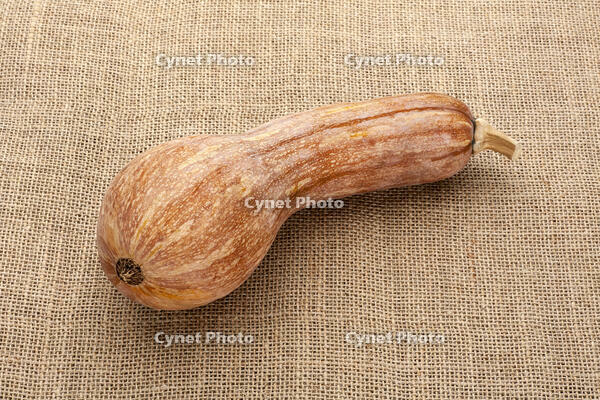 ツルクヒ?カホ?チャ [XJC110009202]