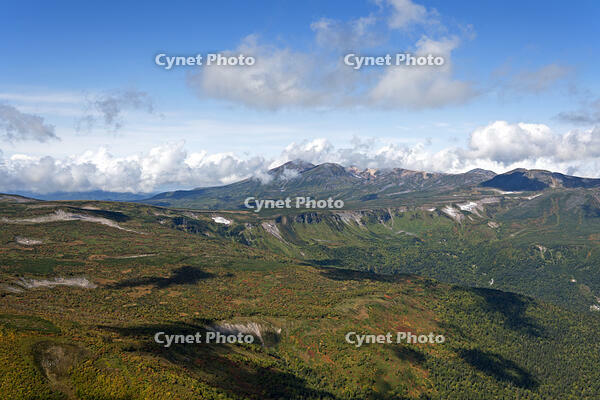 高根ヶ原から大雪山旭岳 [TSU110011598]