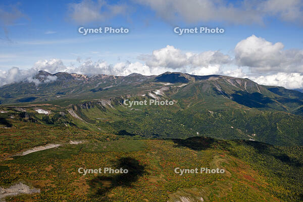 高根ヶ原から大雪山旭岳 [TSU110011600]