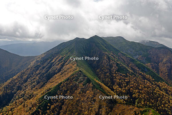 音更山から石狩岳紅葉 [TSU110011602]