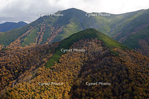 音更山から石狩岳紅葉 [TSU110011604]