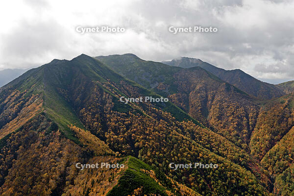 音更山から石狩岳紅葉 [TSU110011605]