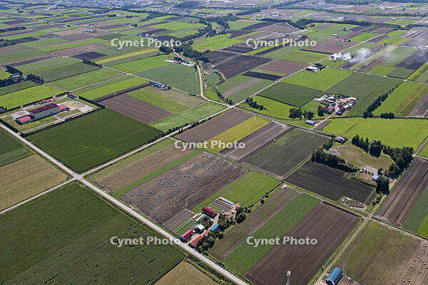 秋の畑 [TSU110011606]