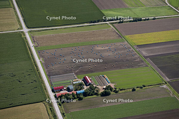 秋の畑 [TSU110011607]