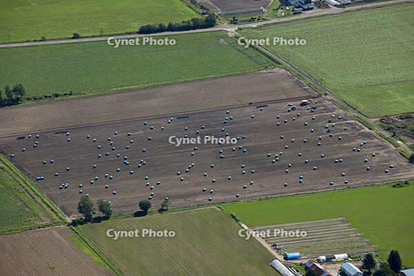 秋の畑 [TSU110011608]