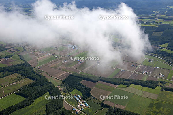 秋の畑 [TSU110011609]