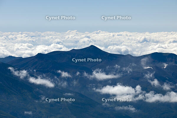 十勝岳 [TSU110011619]