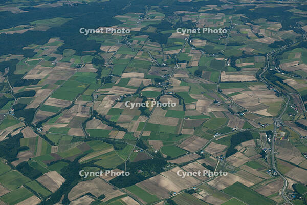 美瑛町パッチワークの畑 [TSU110011626]