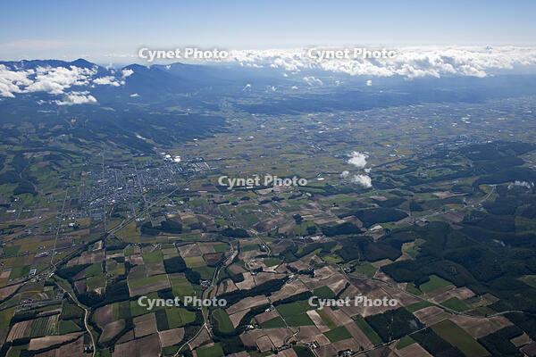 上富良野パッチワークの畑 [TSU110011628]