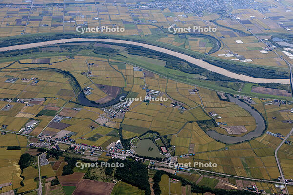 石狩川三日月湖鶴沼からピラ沼トイ沼 [TSU110011639]