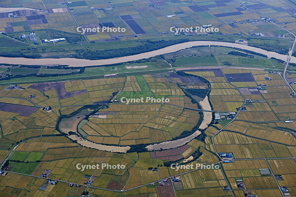 石狩川三日月湖新沼 [TSU110011642]