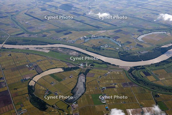 石狩平野石狩川三日月湖三軒屋沼 [TSU110011644]