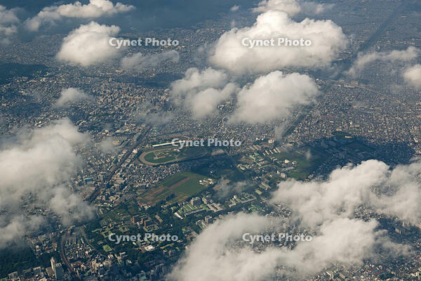 札幌市内北大周辺 [TSU110011660]
