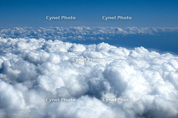 雲海 [TSU110011682]
