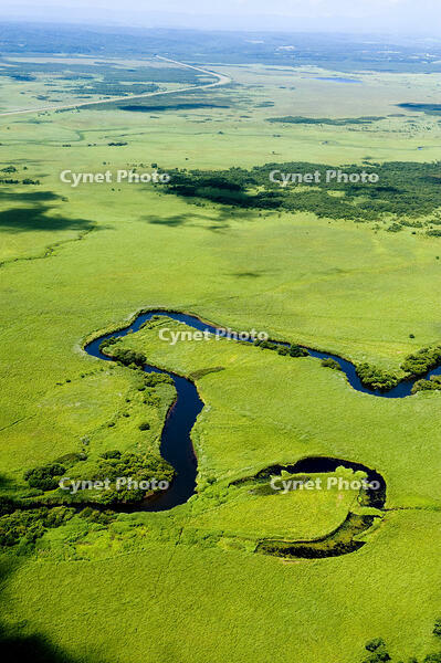 釧路湿原 [TSU110011688]