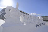 さっぽろ雪まつり [SKP110024666]