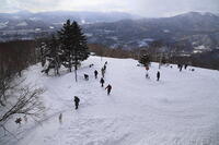 藻岩山山頂 [SKP110024674]