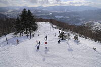 藻岩山山頂 [SKP110024678]