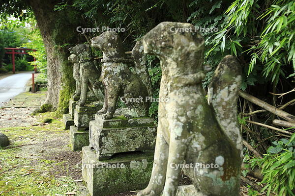 島根県　城山稲荷神社 [SKP110024693]