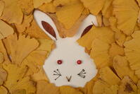 落ち葉遊び　ウサギ [XJU110005147]